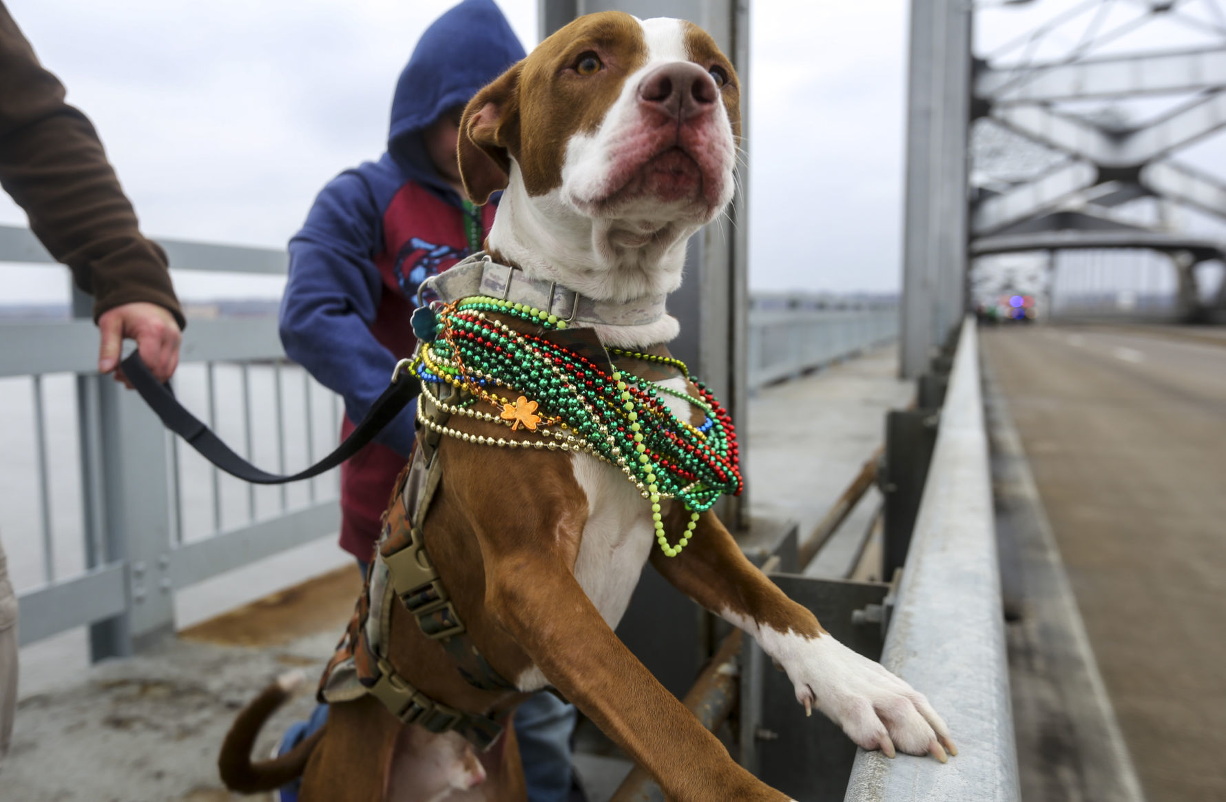 031718-ST-PATRICK-GRAND-PARADE-023